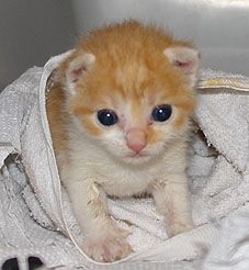 499_4735_b.jpg